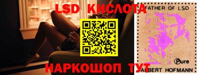 прущие грибы Канаш