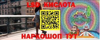 ГАЛЛЮЦИНОГЕННЫЕ ГРИБЫ Камышлов