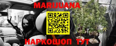 прущие грибы Канаш