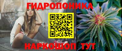 ГАЛЛЮЦИНОГЕННЫЕ ГРИБЫ Камышлов